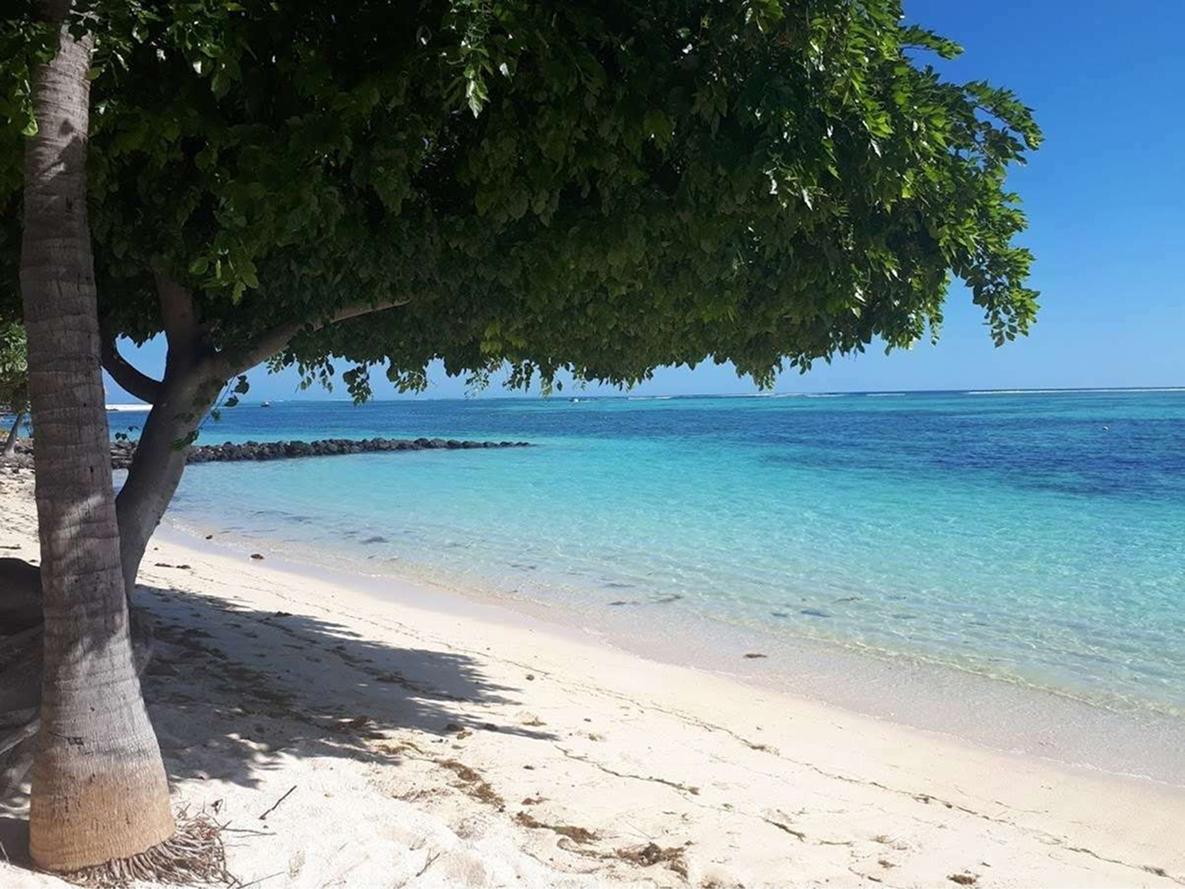 La santé est un état de complet bien-être physique, mental et social et ne consiste pas seulement en un absence de maladie ou d’infirmité » Préambule à la constitution de l’Organisation Mondiale de la Santé. (22 juillet 1946).